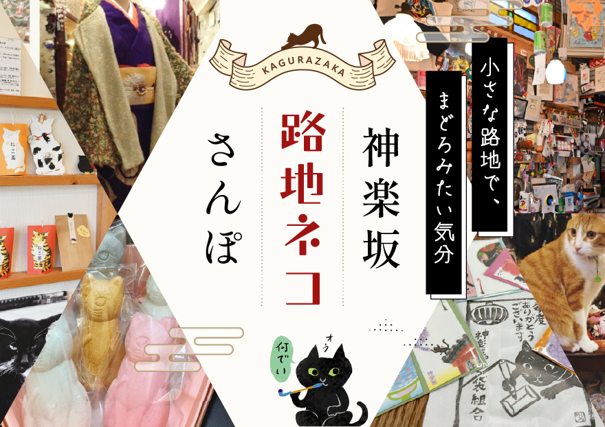 【神楽坂】路地ネコさんぽ